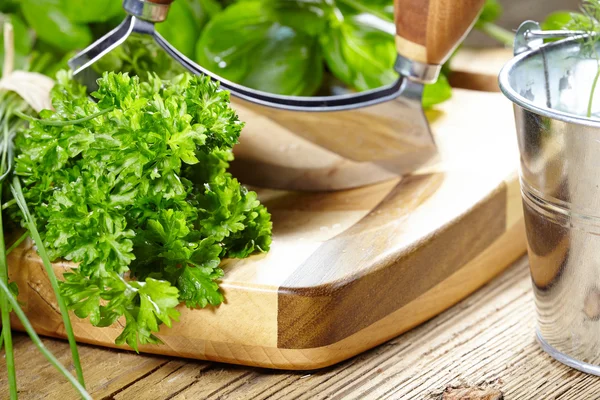 Herbs and a knife on a cutting board — Stock Photo, Image