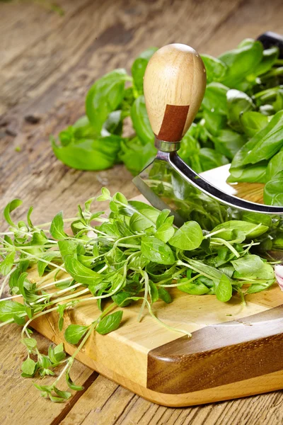 Fresh and chopped herbs on cutting board — Stock Photo, Image