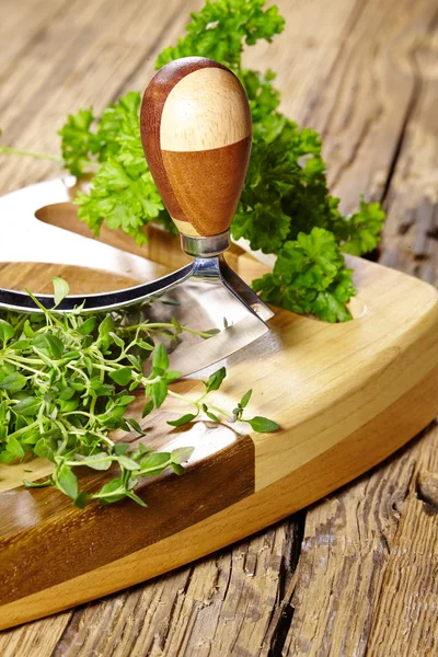 Fresh organic cutted sorrel — Stock Photo, Image