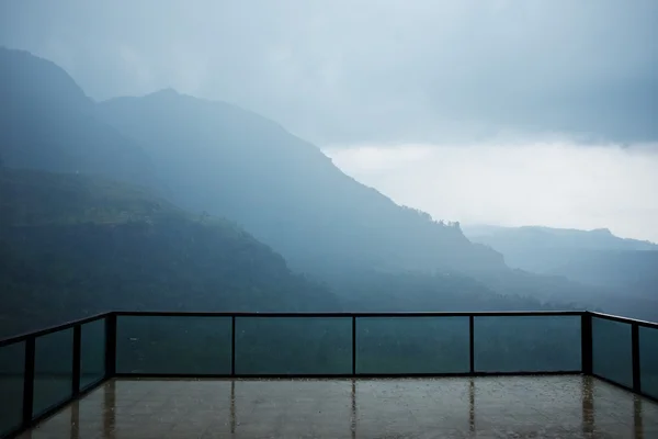 Plantations de thé tôt le matin au Sri Lanka — Photo