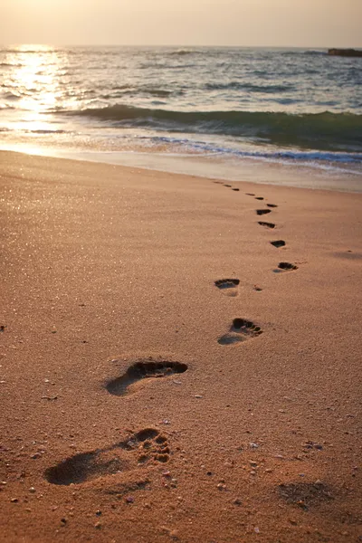 Пляж, хвиля і кроки під час заходу сонця — стокове фото