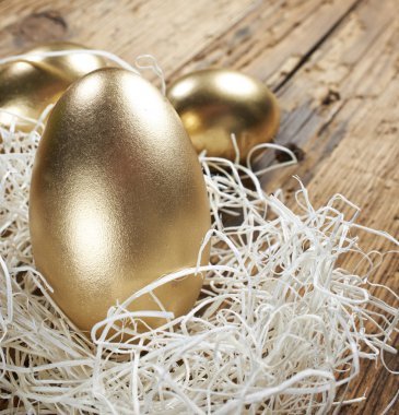 altın yumurta yuvada