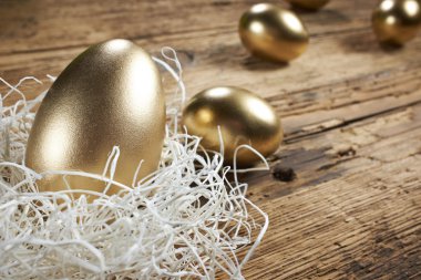 altın yumurta yuvada