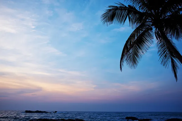 Východ slunce na pláži Srí lanka — Stock fotografie