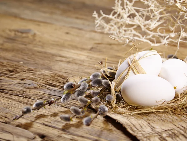 Paskalya yumurta yuva — Stok fotoğraf
