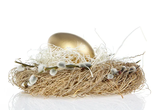 Huevo de oro en el nido — Foto de Stock