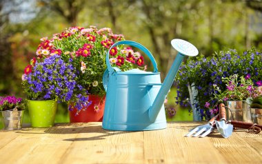 Açık Bahçe aletleri