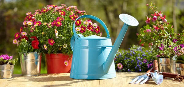 Outdoor gardening tools — Stock Photo, Image