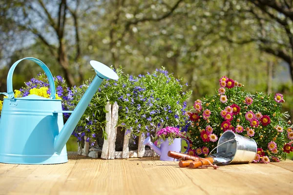 Outdoor gardening tools — Stock Photo, Image