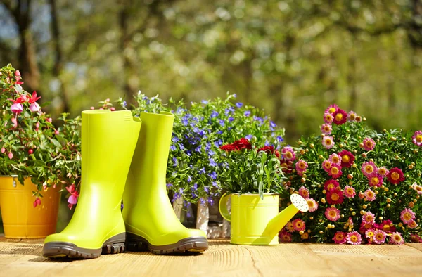 Attrezzi da giardinaggio all'aperto — Foto Stock