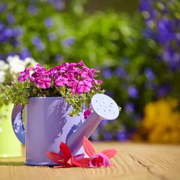 Attrezzi da giardinaggio all'aperto — Foto Stock