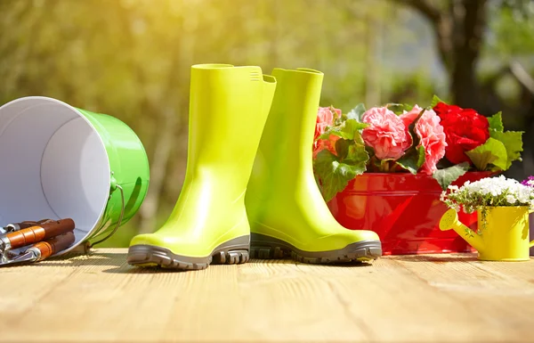 Herramientas de jardinería y flores — Foto de Stock