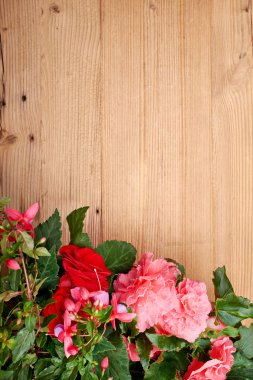 Ahşap arkaplanda çiçekler 