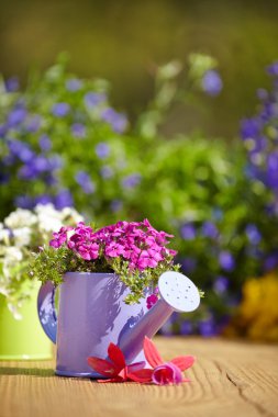 Açık Bahçe aletleri