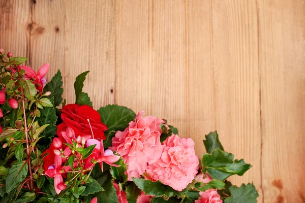 Flowers on wooden background — Stock Photo, Image