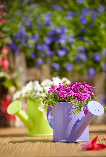 Outdoor gardening tools — Stock Photo, Image