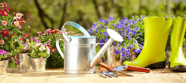 Gardening tools and flowers — Stock Photo, Image