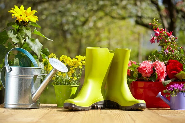 Trädgårdsredskap och blommor — Stockfoto