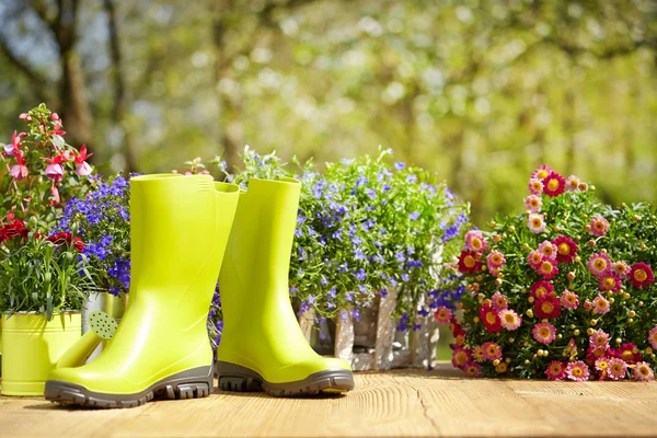 Trädgårdsredskap och blommor — Stockfoto