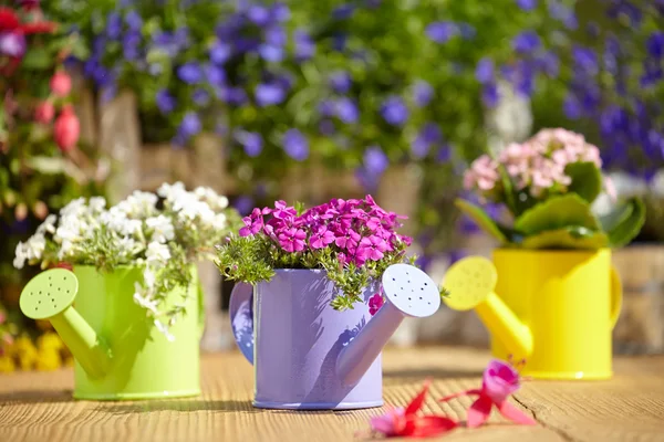 Zahradní nářadí a květiny — Stock fotografie
