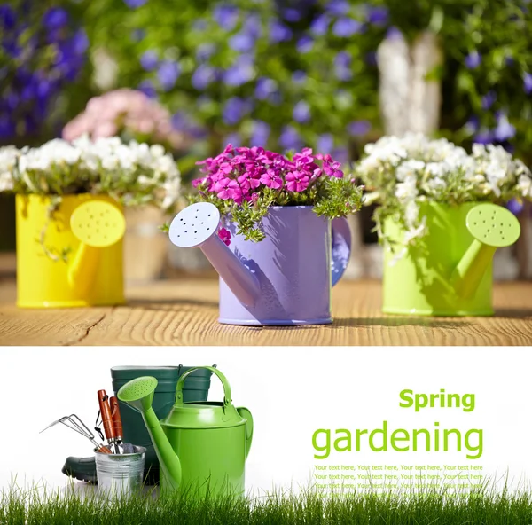 Gardening board — Stock Photo, Image