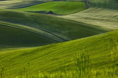 kırsal, san quirico d'orcia