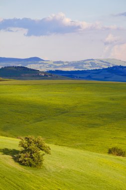 kırsal, san quirico d'orcia