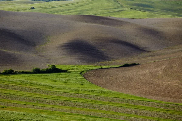 Сільській місцевості, san Куїрико d'orcia — стокове фото