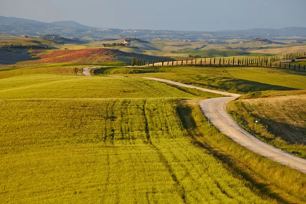 农村，san quirico 道尔恰 — 图库照片