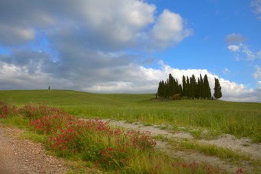 Toskana tepeler ve kırsal bölgede chianti, İtalya