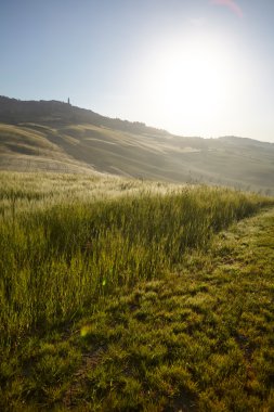 güzel yeşil tepeler