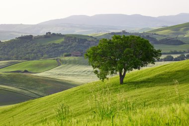 campagne, Toscane