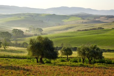 campagne, Toscane
