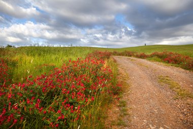 campagne, Toscane