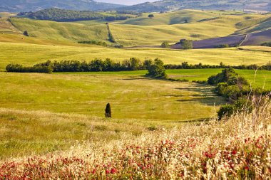 campagne, Toscane