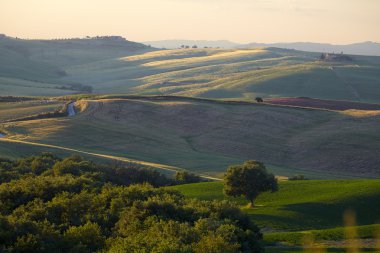 campagne, Toscane