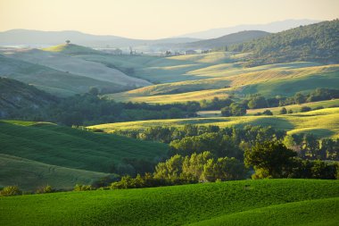 kırsal, San Quirico dOrcia, toskana, italya