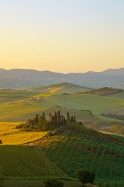 kırsal, San Quirico dOrcia, toskana, italya