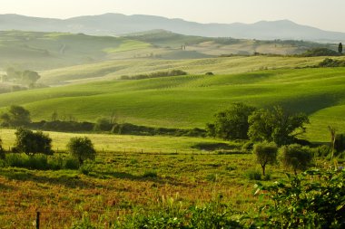 kırsal, San Quirico dOrcia, toskana, italya