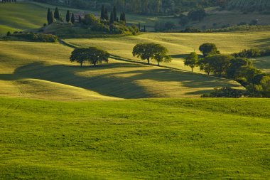 Spring heuvels van Toscane