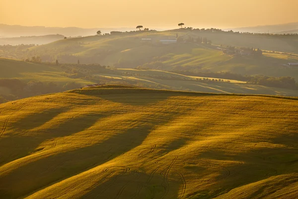Landsbygden, San Quirico d'Orcia, Toscana, Italien — Stockfoto