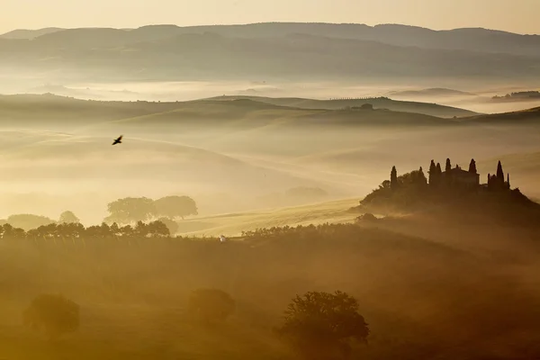 美しい緑の丘 — ストック写真