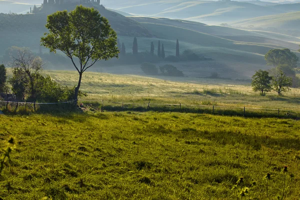 시골, 산 퀴리 코 d'Orcia, 투 스 카 니, 이탈리아 — 스톡 사진