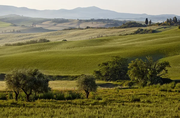 Landsbygden, Toscana — Stockfoto
