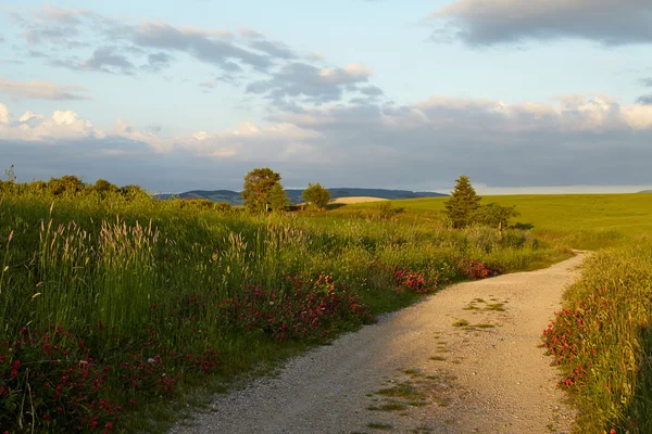 Caminos de verano Toscana — Foto de Stock