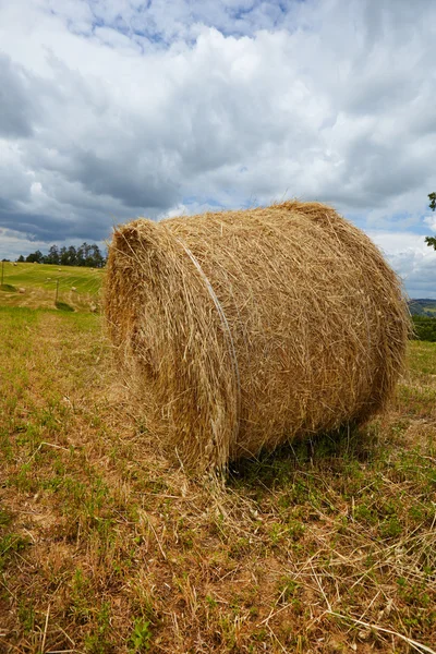 Hay тюків — стокове фото