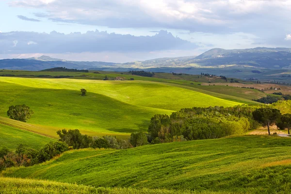 Тосканские холмы и сельская местность в регионе Сиенна, Италия — стоковое фото