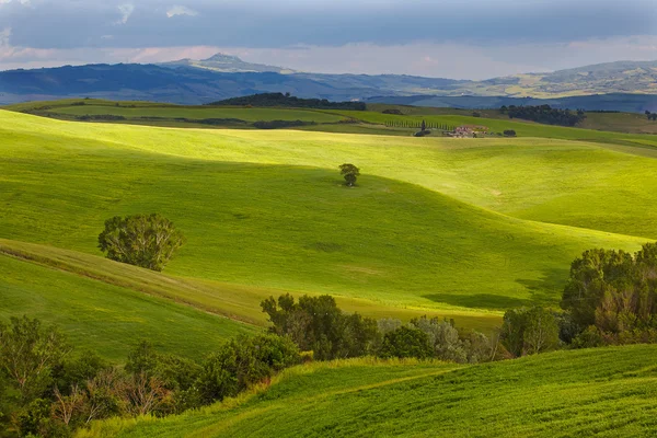 Toscana Hills and Countryside en la región de Siena, Italia — Foto de Stock