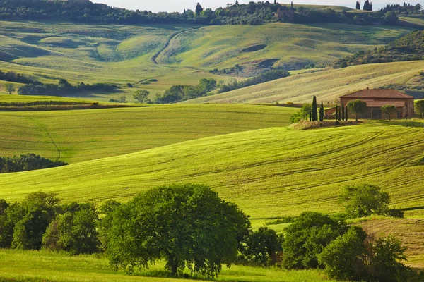 Toskánsku hills a krajina v regionu sienna, Itálie — Stock fotografie
