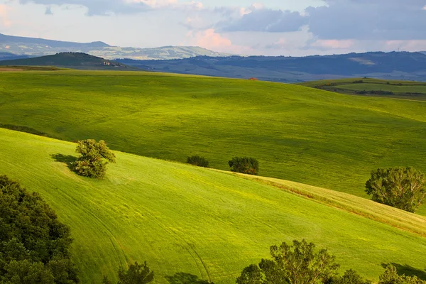 Сільській місцевості, San Куїрико d'Orcia, Тоскана, Італія — стокове фото